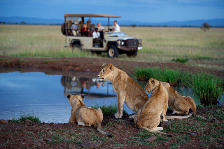 6-dniowe safari z widokiem na Amboseli, Tsavo West i Tsavo EastPakiet budżetowy: 6-dniowe safari Amboseli, Tsavo West i Tsavo East