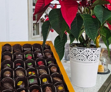 Tavira Stad & Chocolade