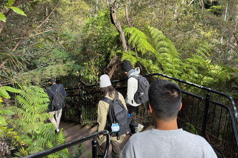 Sydney: Blue Mountains 3 Scenic Walks Ultimate Guided Tour Shared Tour, Meet at Furama Darling Harbour