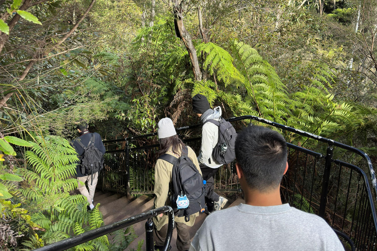 Sydney: Blue Mountains 3 Scenic Walks Ultimate Guided Tour Shared Tour, Meet at Furama Darling Harbour