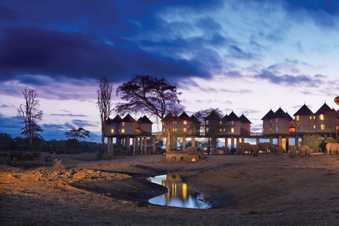 Safari de 2 días por el Parque de Tsavo Este y Tsavo Oeste