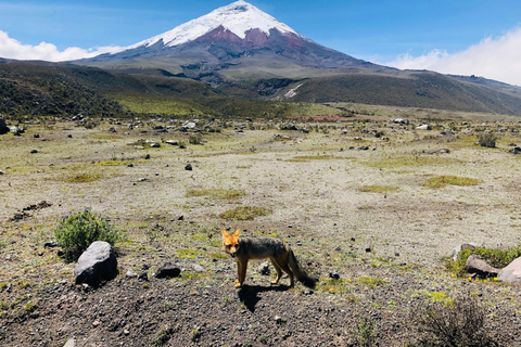 Äventyr i Cotopaxi