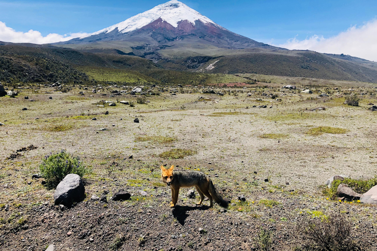 Aventura en el Cotopaxi