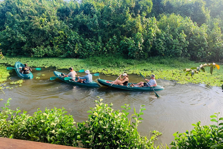 Mirissa: Kayak Safari Adventure Through Mangrove Double Kayak (2 Persons)