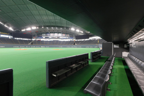 Sapporo: Dome Tour with Observation Deck Entry
