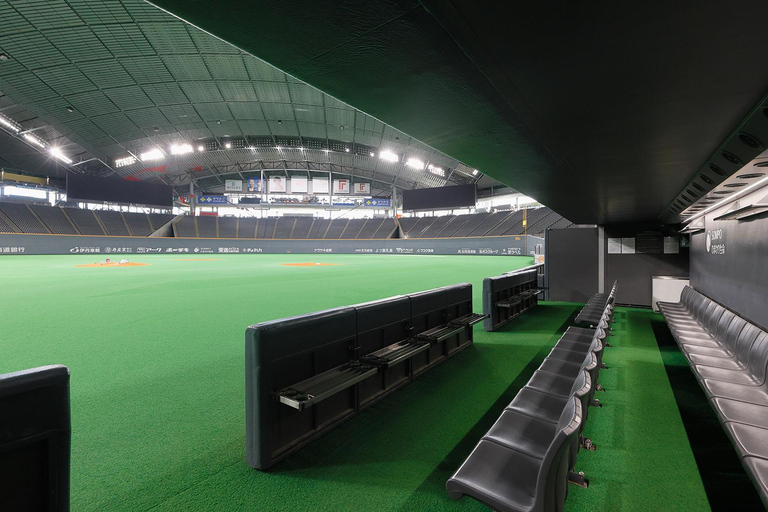 Sapporo: Dome Tour with Observation Deck Entry