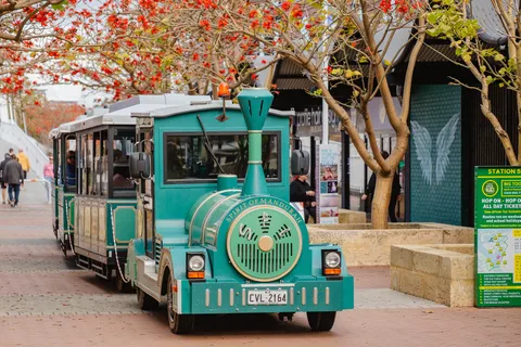 Mandurah: Big Toot - City Tour hop-on hop-off todo o dia Ingresso