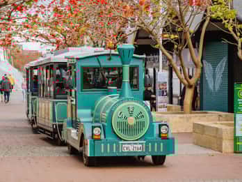 Mandurah: Big Toot 30 minuti di tour della città