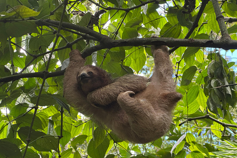 San José: Manuel Antonio National Park Tour with Lunch
