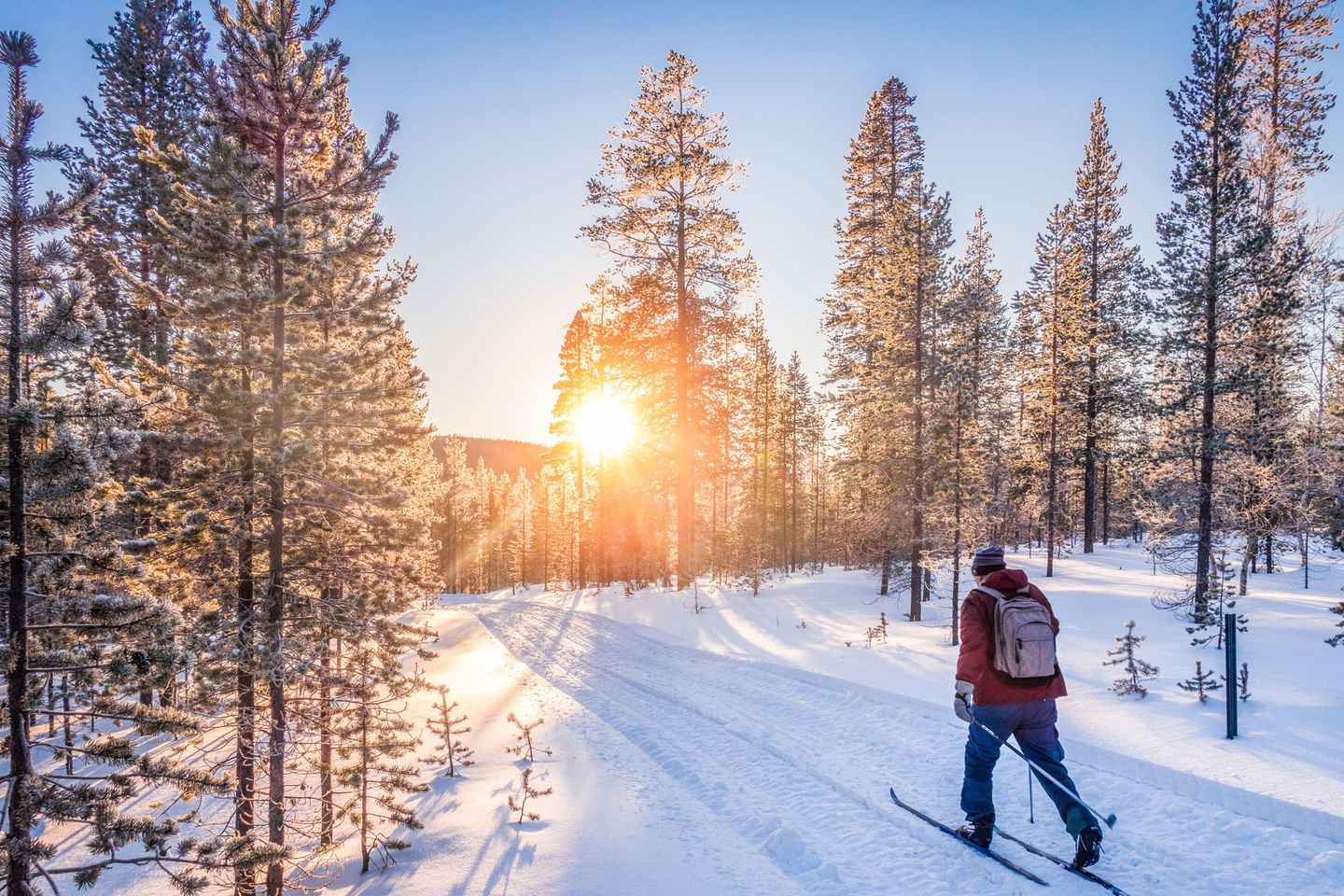 Levi: Cross-Country Skiing Tour for Beginners