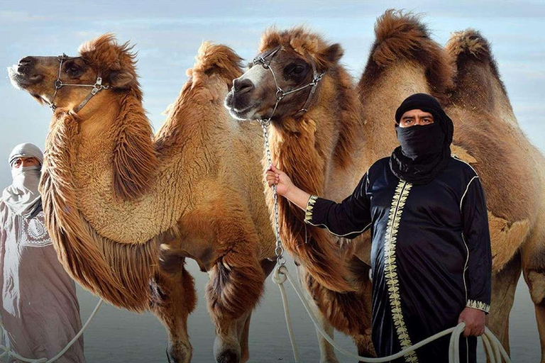 Avventura a dorso di cammello nel deserto peruviano