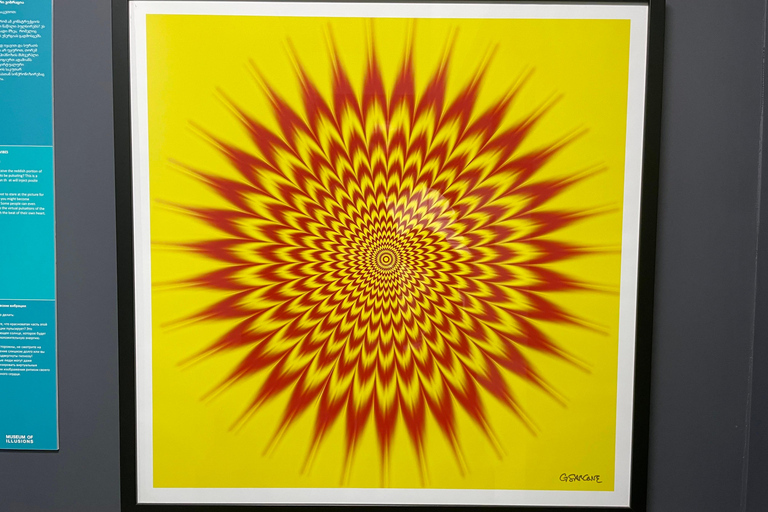 Gecombineerd ticket: Digitale tentoonstelling &amp; Illusiemuseum