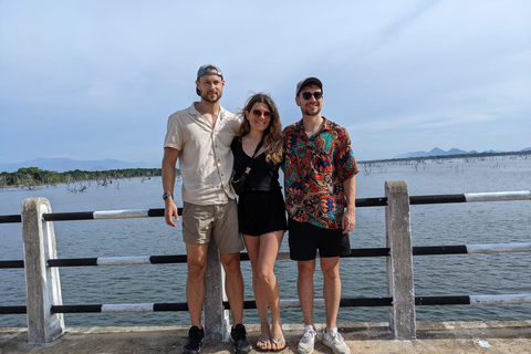 De Ella: Safári em Yala e traslado para Mirissa/Unawatuna/Galle4 h Excursão de meio dia para safári no Parque Nacional de Yala