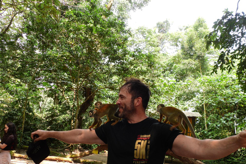 Amazon River and Monkey Island Day Tour