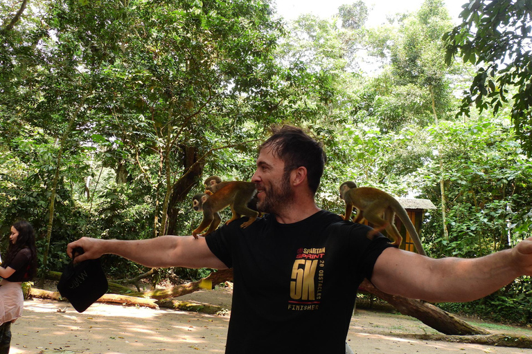 Amazon River and Monkey Island Day Tour