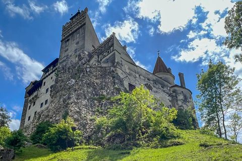 Brasov: slottet Bran, björnreservatet, Rasnov (Peles tillval)