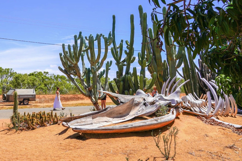 Perth: 8-Day Exmouth Tour with Ningaloo Reef Comfort Tour Twin Share Room (Adults only)