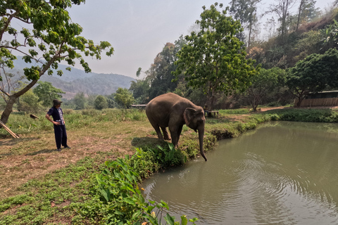 Heldag med CHIANGMAI ELEPHANT CARE och Sticky vattenfall