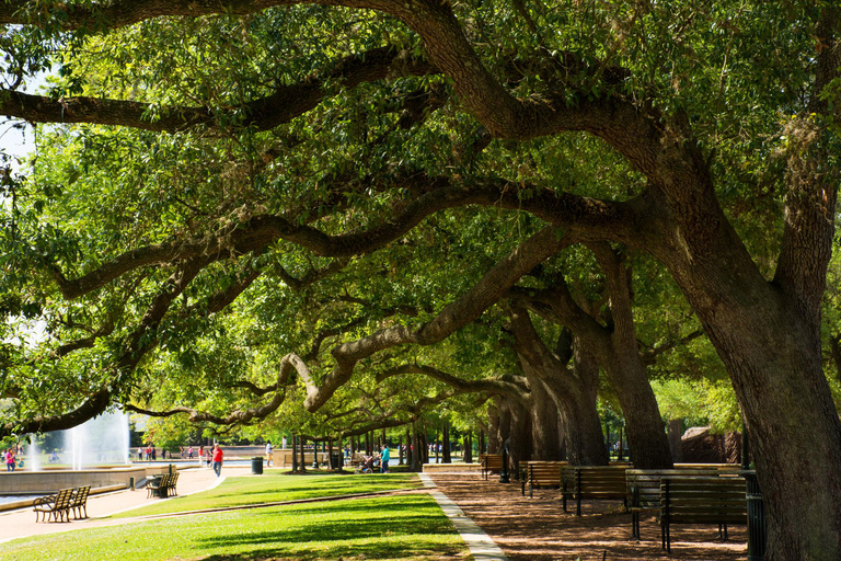 Das bezaubernde Houston: Ein romantisches Stadtabenteuer