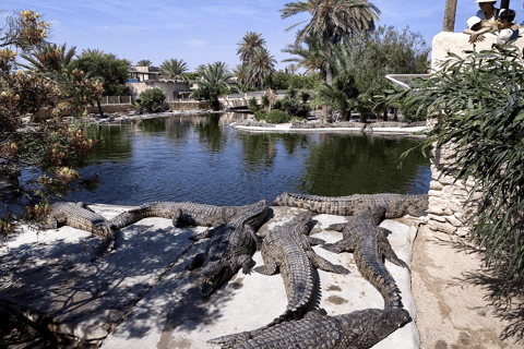 Djerba: Visita ao Djerba Explore &amp; Crocodile Park com traslado