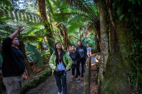 Excursion à Hobart : Parc national et faune du Mont Field