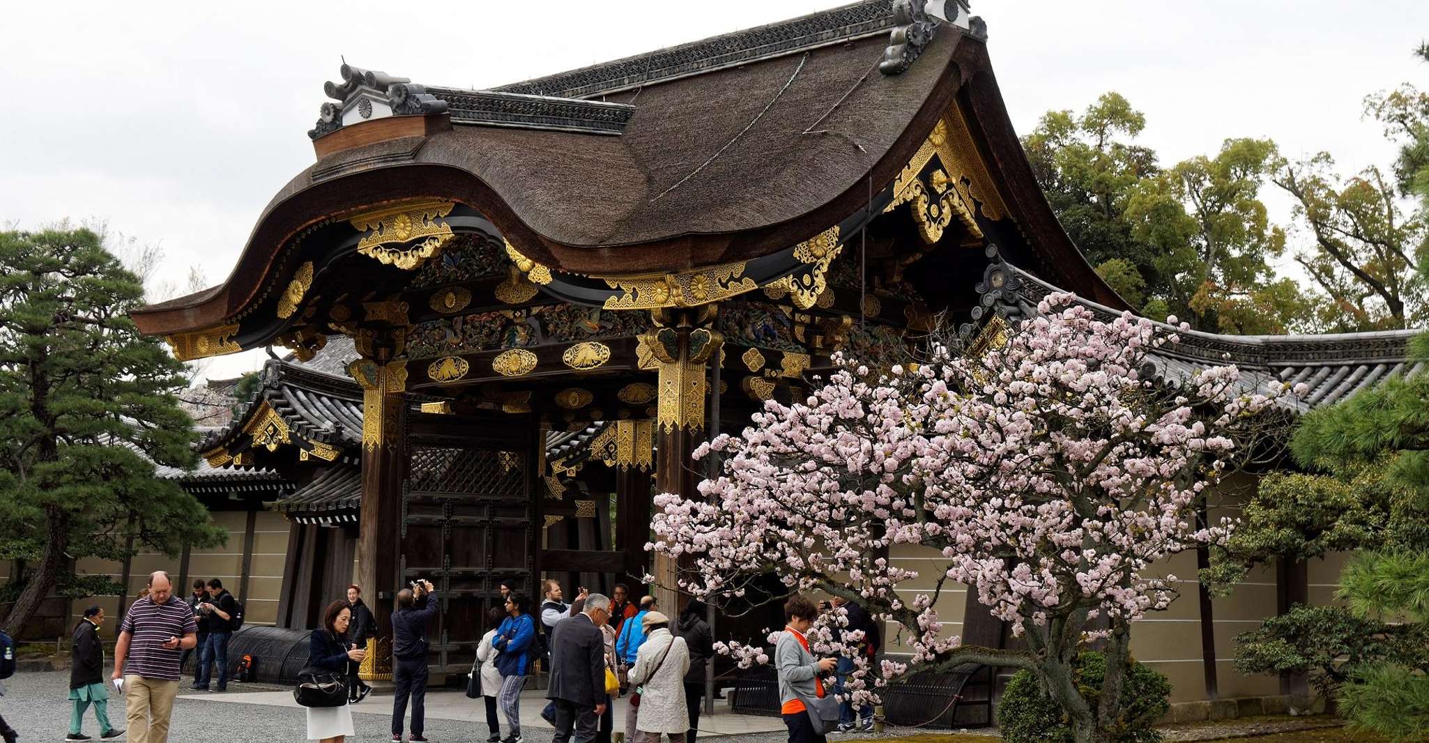 Kyoto: Imperial Palace & Nijo Castle Guided Walking Tour