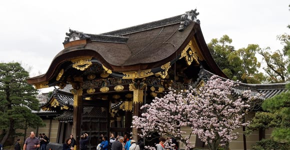 Kyoto: Imperial Palace & Nijo Castle Guided Walking Tour