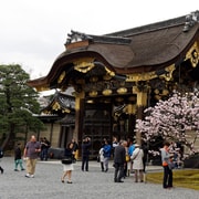 Kyoto: Imperial Palace & Nijo Castle Guided Walking Tour Kyoto: Imperial Palace & Nijo Castle Guided Walking Tour