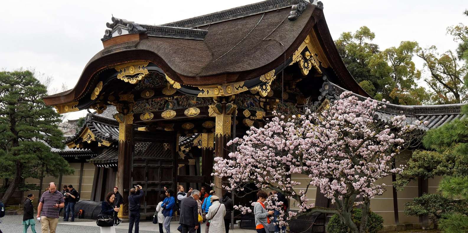 Kyoto: Imperial Palace & Nijo Castle Guided Walking Tour