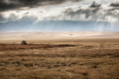 Escursione di un giorno nel cratere di Ngorongoro