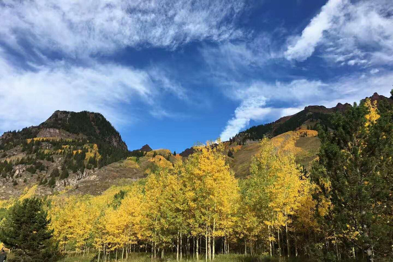 From Seattle: Mount Rainier Guided Day Tour