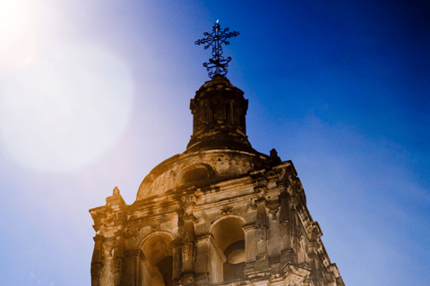 Desde León: Tour de la ciudad por tierra