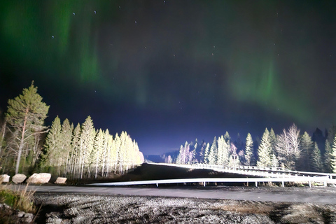 روفانييمي: مطاردة الشفق القطبي الشمالي مع خدمة التوصيل من الفندق