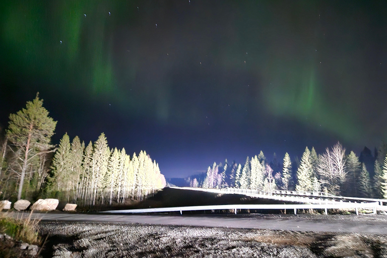 روفانييمي: مطاردة الشفق القطبي الشمالي مع خدمة التوصيل من الفندق