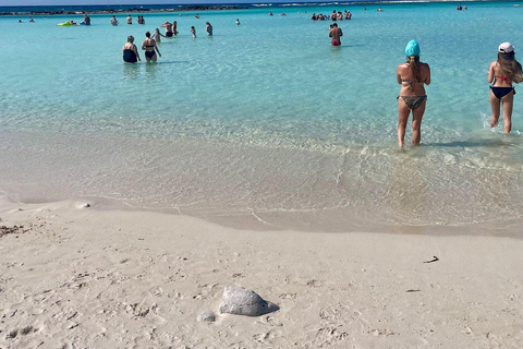 Aruba: Naturpool, Höhlen & Baby Beach Jeep-Abenteuer