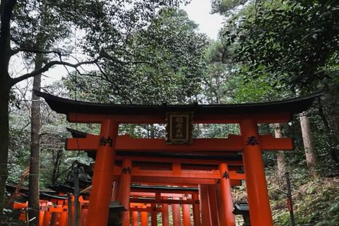 大阪/京都：京都和奈良私人定制一日旅行