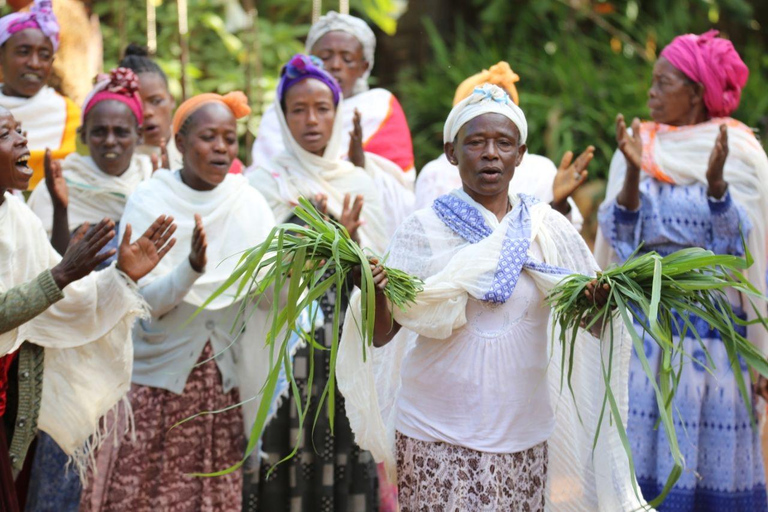 Arba Minch: Dorze Village &amp; Lake Chamo Boot &amp; Tuk Tuk Tour
