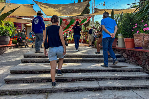 تيوتيهواكان، غوادالوبي، زوتشيميلكو كويواكان وفريدا كاهلوجولة في ضريح تيوتيهواكان وزوتشيميلكو وغ