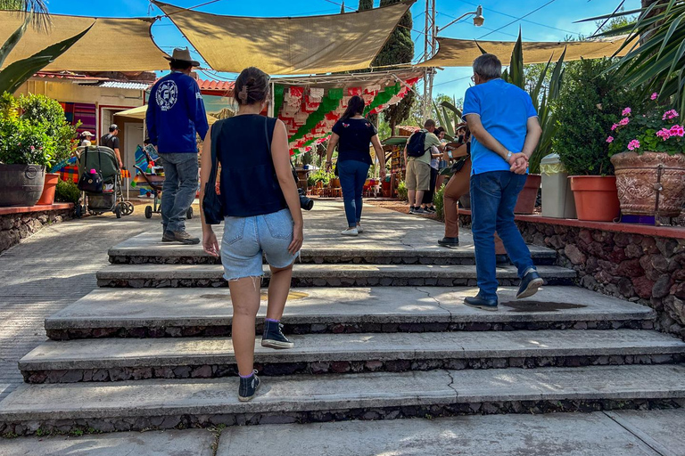 تيوتيهواكان، غوادالوبي، زوتشيميلكو كويواكان وفريدا كاهلوجولة في ضريح تيوتيهواكان وزوتشيميلكو وغ