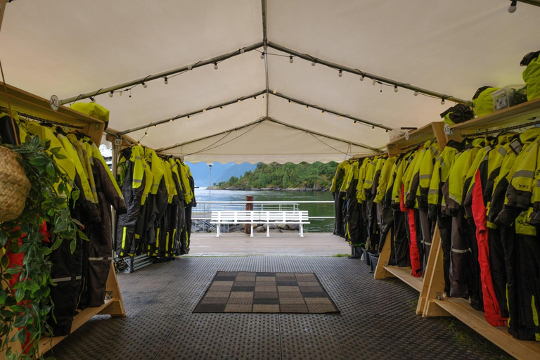 From Hellesylt: Experience Fjordsafari Geirangerfjord on RIB