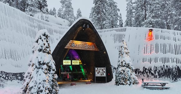 Rovaniemi: One-Day Trip to Santa Claus Village & Santa Park