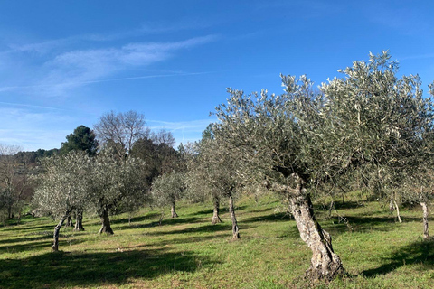 Trancoso: Tour ecologico della fattoria con degustazione