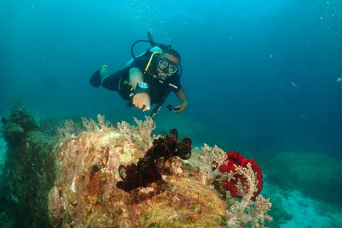 Phuket: Try SCUBA DIVING Full Day Experience 3 Dives
