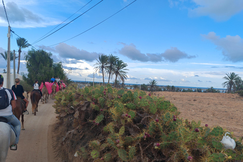 杰尔巴岛：在蓝色泻湖骑骆驼和骑马。杰尔巴：蓝色泻湖骑骆驼和骑马之旅。