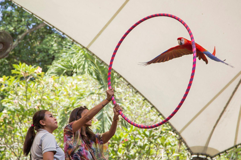 Singapur: bilet wstępu do Ptasiego RajuStandardowy wstęp dla turystów