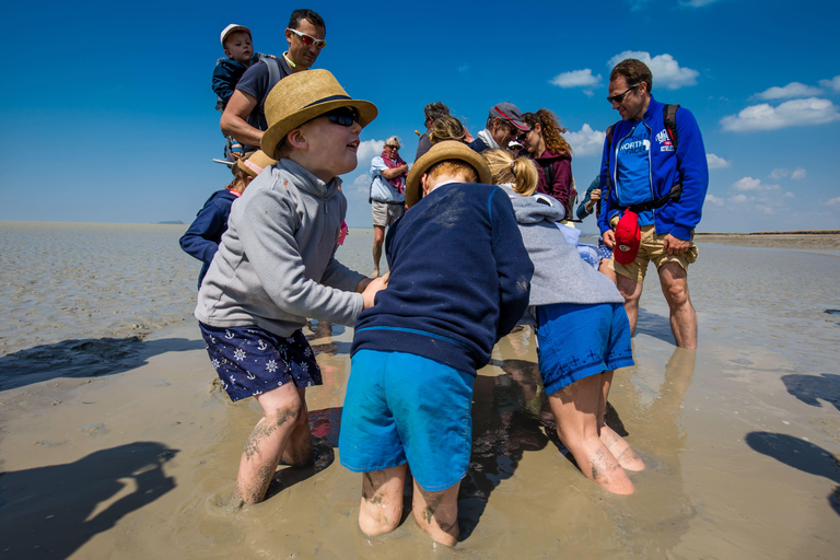 Bay of Mont-Saint-Michel: Short Walk and Discovery of the Quicksand Enjoy the High Tides