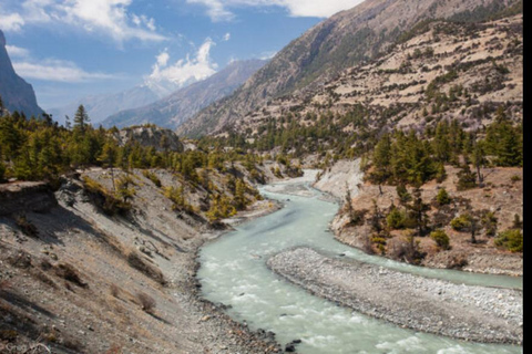 Trekking z Pokhary do Dhampus Australian Camp