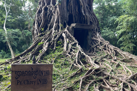 Siem Reap para explorar Sambor Prey Kuk: tesoros ocultos