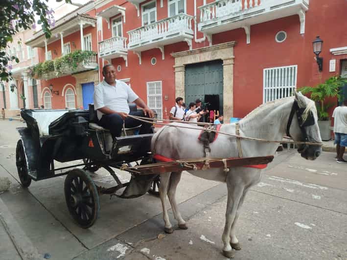 Galería de fotos para redes