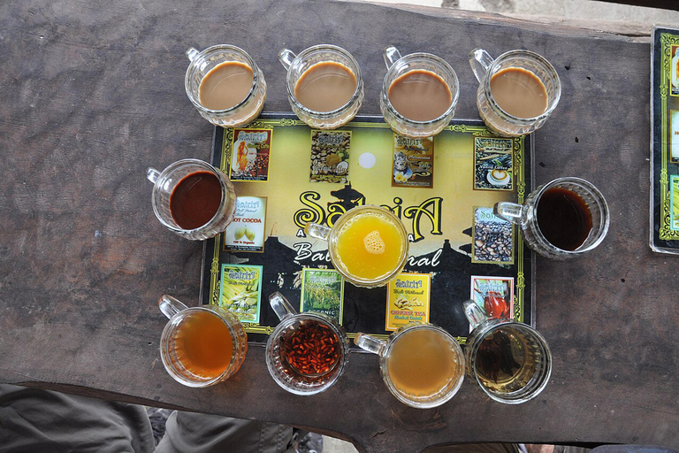 Bali: ATV Mud Fun, Rafting, Coffee & Temple Tour with Pickup ATV Only Adventure with Meeting Point (No Rafting)